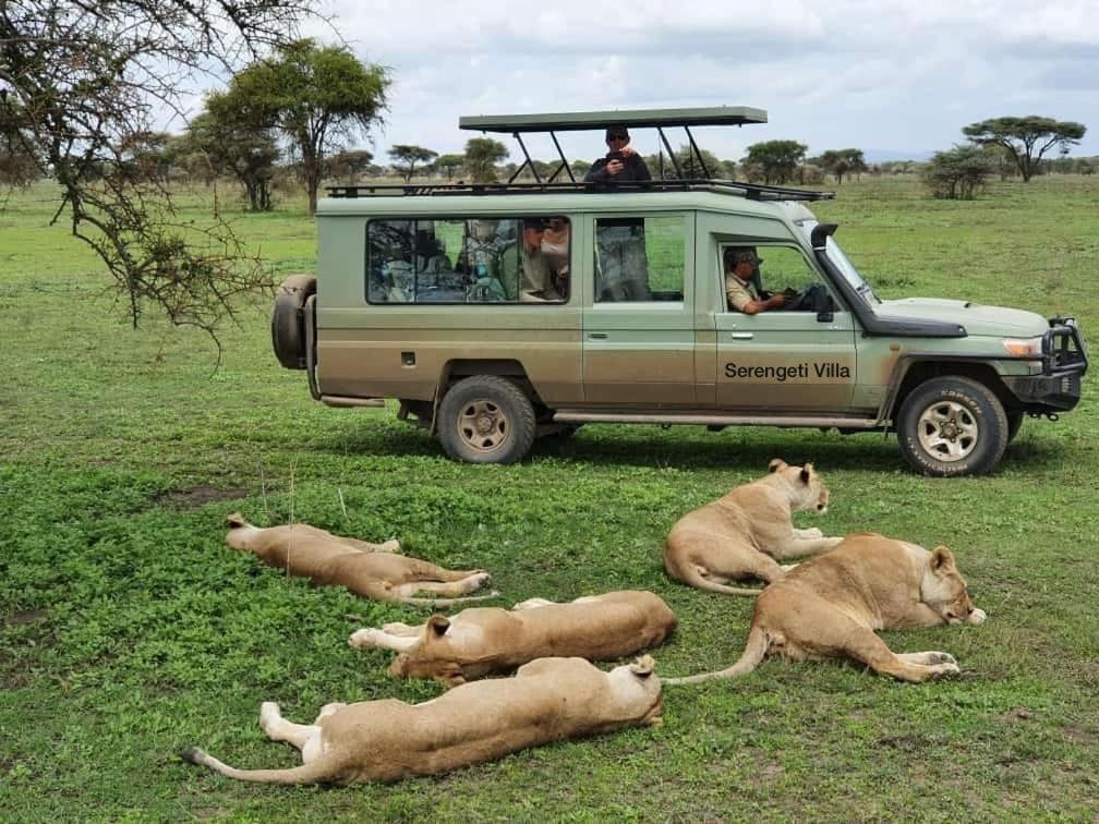Serengeti Villa 아루샤 외부 사진